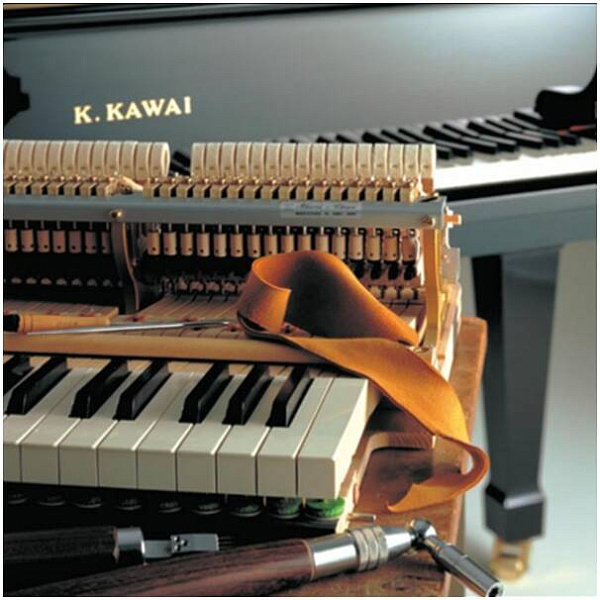KAWAI EX - Рояль акустический