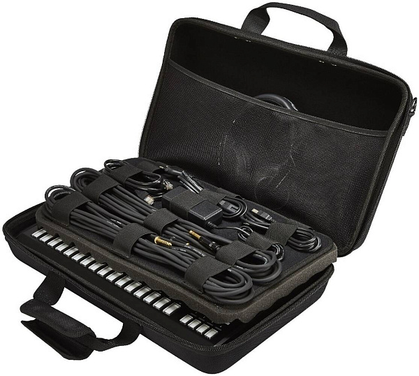 PIONEER DJC-TSP16 BAG Сумка для TSP-16