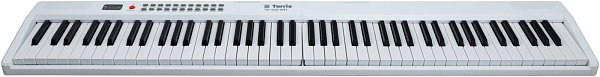 TERRIS TK-440 WH - Синтезатор с автоаккомпанементом