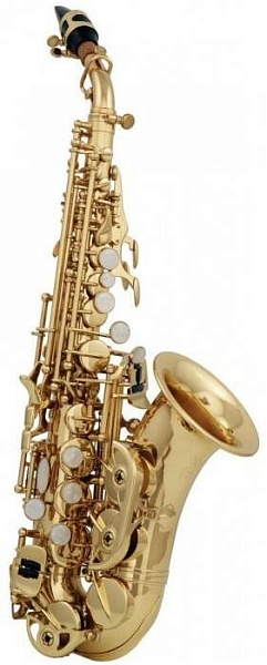 ROY BENSON SG-302 - Саксофон сопрано