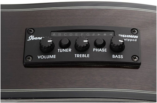 IBANEZ AEG24II-TGB - Гитара электроакустическая