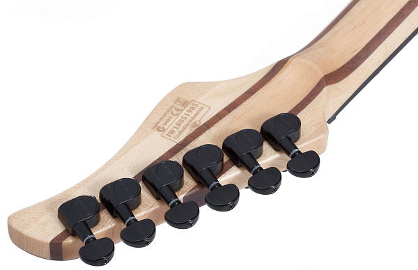 Электрогитара SCHECTER [REAPER-6 SKYB] электрогитара 6-струнная, корпус: болотный ясень, топ: кап, гриф: клен, накладка: черное дерево, 24 лада, цвет: Sky Burst (SKYB)