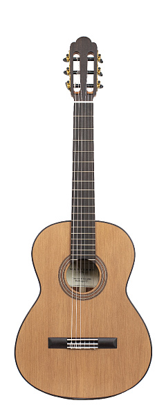 Torres-Mahogany Классическая гитара, Martinez