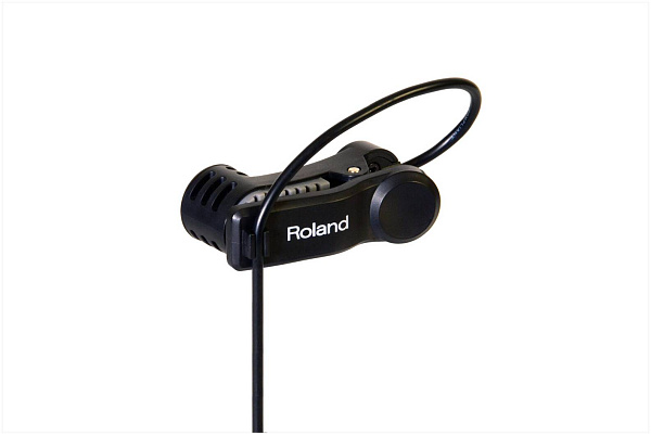 ROLAND EC-10M - Процессор эффектов