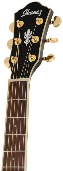 IBANEZ AEG24II-TGB - Гитара электроакустическая