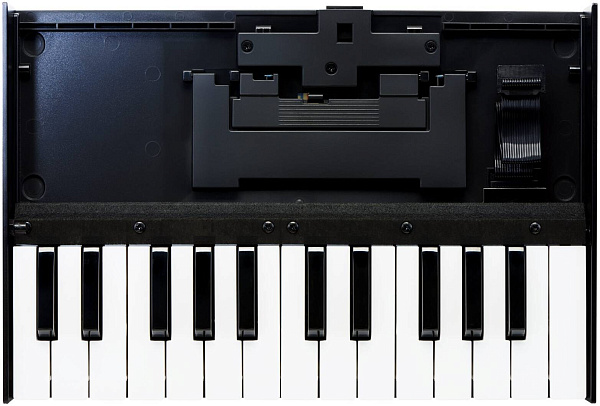 ROLAND K-25M - MIDI-клавиатура