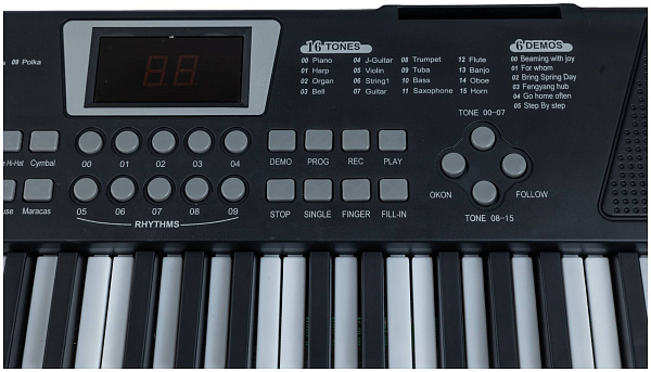 TERRIS TK-200 BK - Синтезатор
