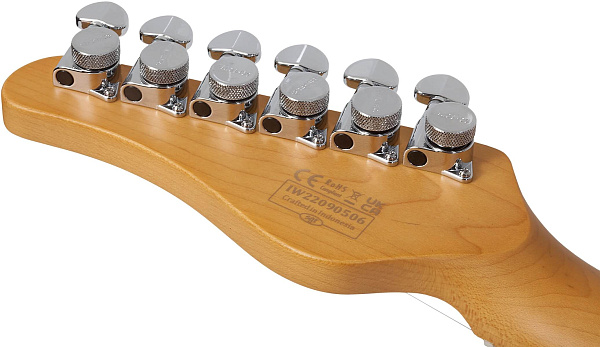 Электрогитара SCHECTER [MV-6 GBLK] 6-струнная, корпус: липа, гриф: запеченый клен, 24 лада, цвет: Gloss Black (GBLK)