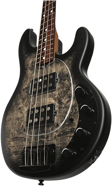 STERLING StingRay HH Poplar Burl Top Trans Black - Бас-гитара 4 струны