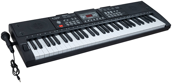 TERRIS TK-250 BK - Синтезатор