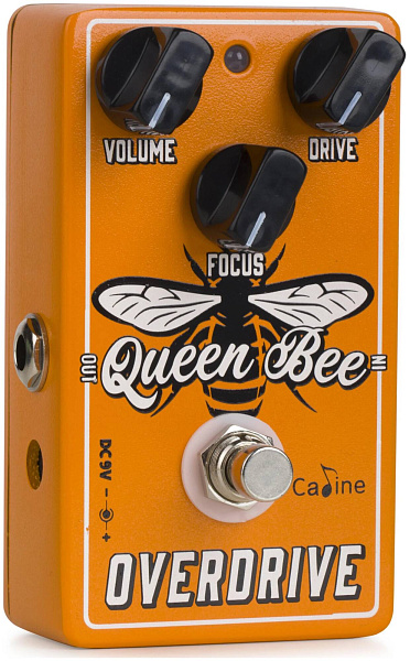 CALINE CP-503 - Педаль эффектов Overdrive