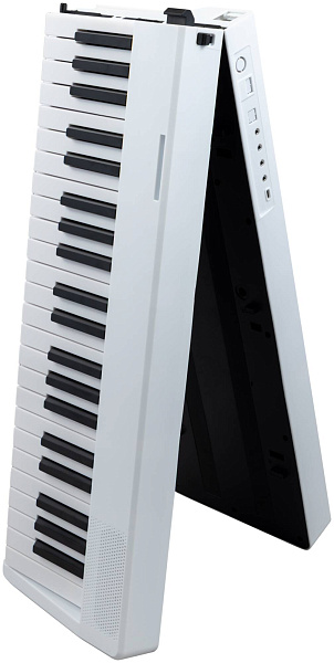 DAVINCI DPP-301 WH - Синтезатор с автоаккомпанементом