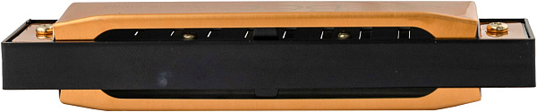 BEE DF10A-1 GOLD - Губная гармоника диатоническая