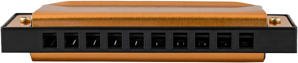 BEE DF10A-1 GOLD - Губная гармоника диатоническая
