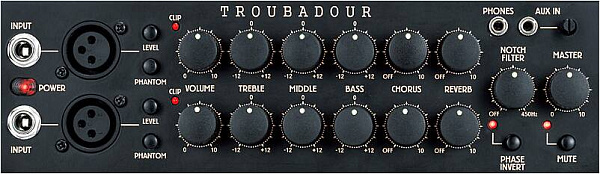 IBANEZ T80II TROUBADOUR - Комбоусилитель для акустической гитары