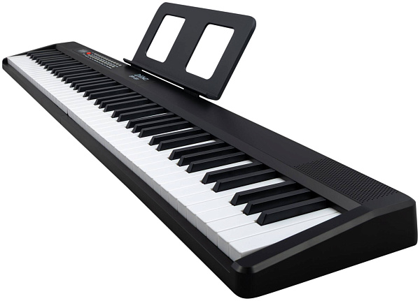DAVINCI DPP-301 PK - Синтезатор с автоаккомпанементом