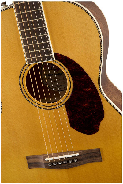 FENDER PM-2 - Гитара электроакустическая