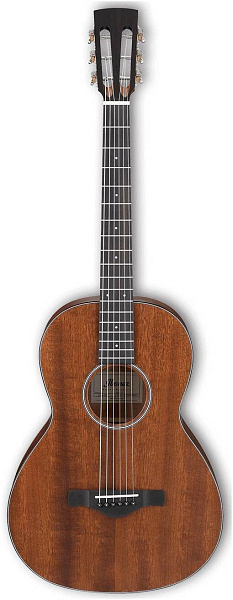 IBANEZ ArtWood AVN9-OPN - Гитара акустическая