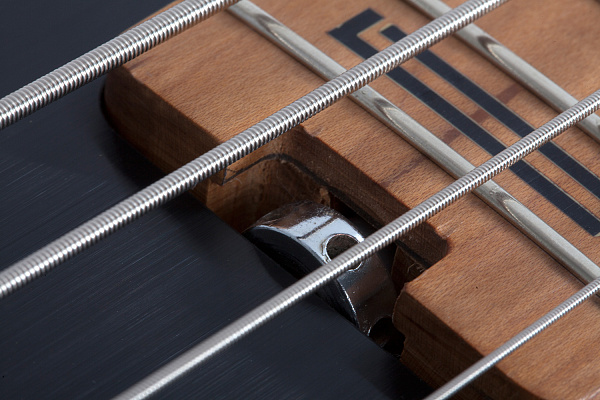 Бас-гитара SCHECTER [P-4 EXOTIC FVSB] 4-х струнная, корпус: болотный ясень, топ: зебравуд, гриф: запеченый клен, 21 лад, звукосниматель: EMG Metal Works P, цвет: Faded Vintage Sunburst (FVSB)