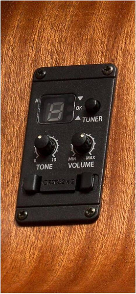 TAYLOR GS MINI-e BASS GS Mini Bass, бас-гитара электроакустическая, форма...
