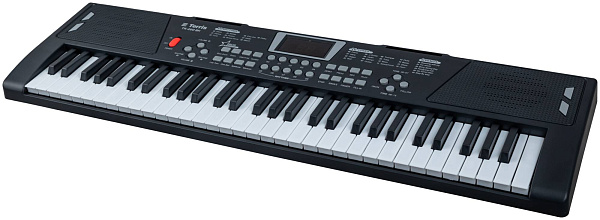 TERRIS TK-200 BK - Синтезатор