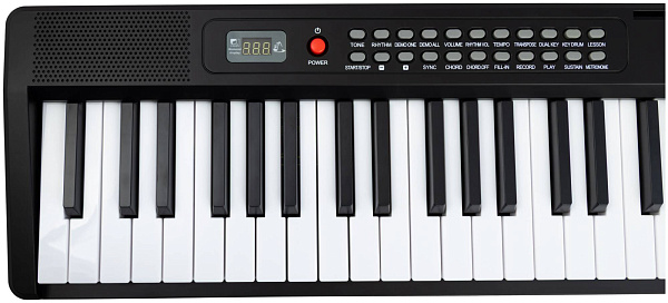 DAVINCI DPP-301 PK - Синтезатор с автоаккомпанементом
