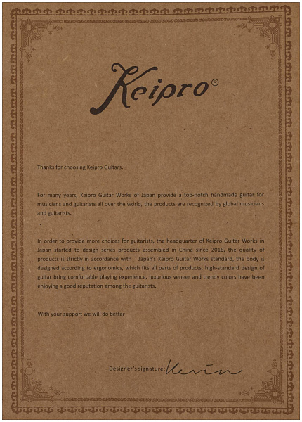 KEIPRO Modern PRO-Q H.S.H TPPS + bag - Электрогитара шестиструнная