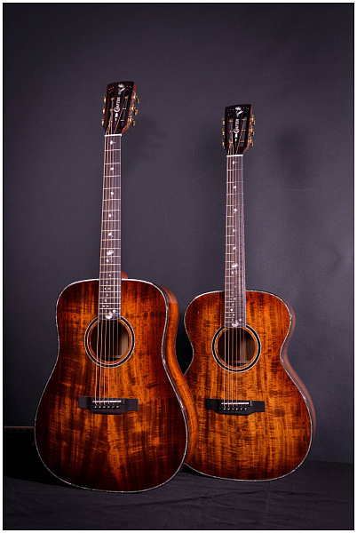 CRAFTER MIND D-2500e ALK DL - Гитара электроакустическая шестиструнная