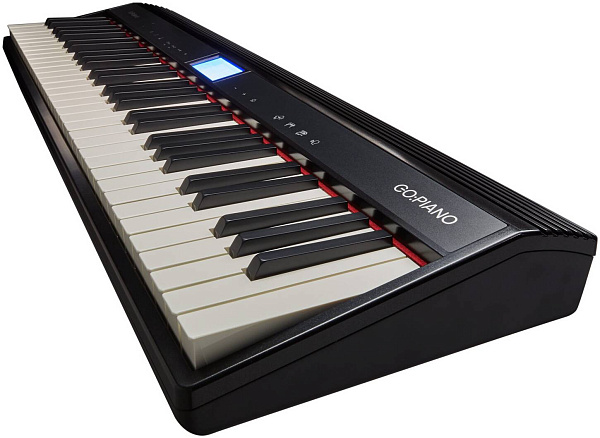 ROLAND GO-61 P - Синтезатор