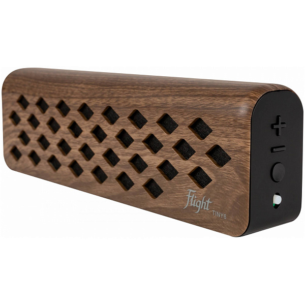 FLIGHT Tiny 6 Walnut - Комбоусилитель, 6 Вт