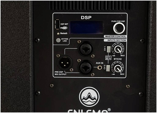 ENLEMA APS 1000 DSP - Акустическая система активная