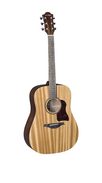 CD-65GN CHORUS Акустическая гитара Hohner