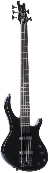 EPIPHONE Toby Deluxe-V Bass - Бас-гитара