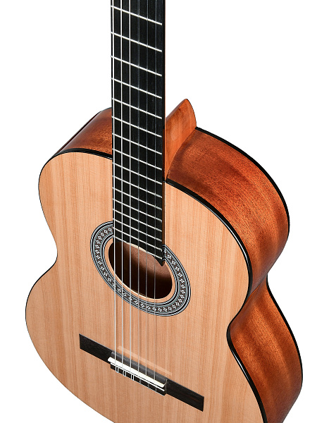 TESORO TS3940 - Гитара классическая