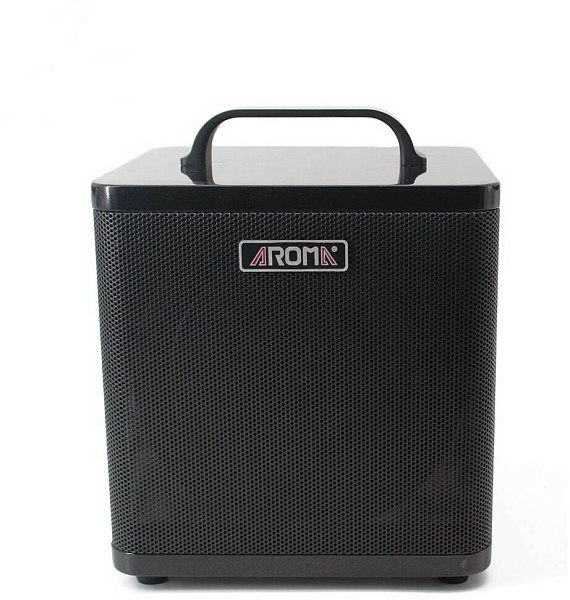 AROMA AG-40A BK - Комбоусилитель для акустической гитары