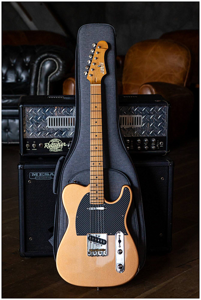 JET JT-30 Gold - Электрогитара шестиструнная
