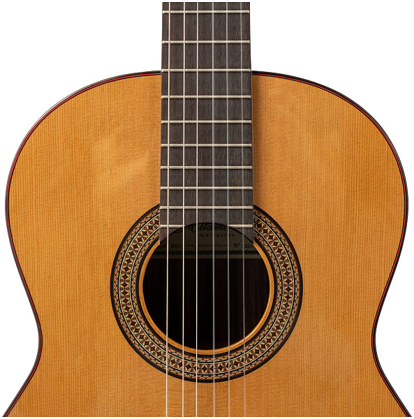 ALTAMIRA N300+ CASE - Гитара классическая 4/4