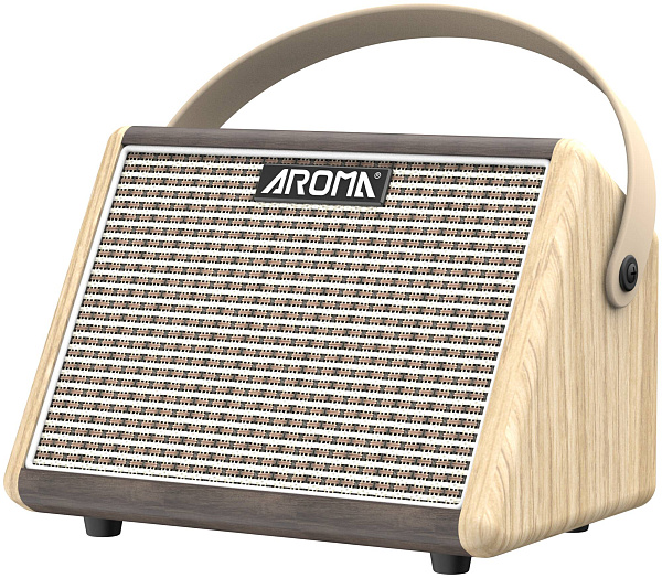 AROMA AG-15AML - Комбоусилитель для акустической гитары