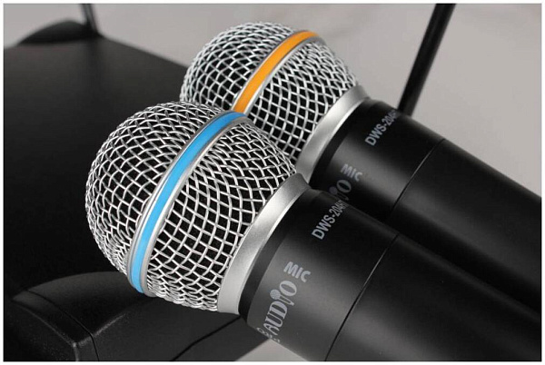 PROAUDIO DWS-204HT* - Радиосистема