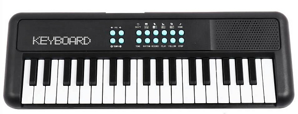 TERRIS TK-100 BK - Синтезатор