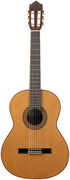 ALTAMIRA N300+ CASE - Гитара классическая 4/4