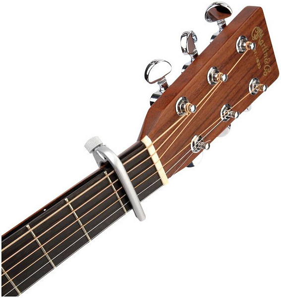 PLANET WAVES PW-CP-02S - Каподастр