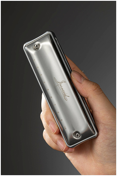 JDR Assassin Pro A - Губная гармоника диатоническая