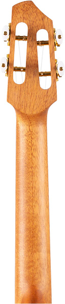 FLIGHT A10 SC Cocobolo Dragon - Укулеле тенор
