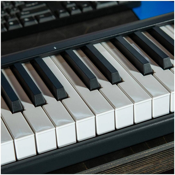 ICON iKeyboard 4X - MIDI-клавиатура