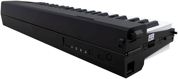 DAVINCI DPP-301 PK - Синтезатор с автоаккомпанементом