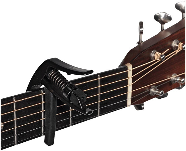 PLANET WAVES PW-CP-10 - Каподастр