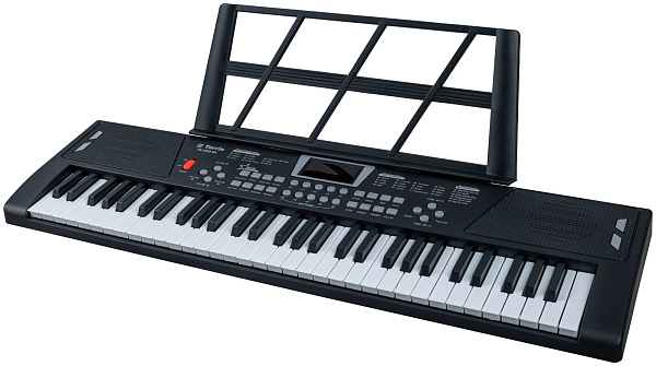TERRIS TK-200 BK - Синтезатор