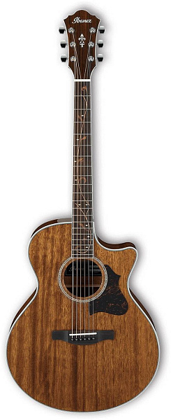 IBANEZ AE245-NT - Гитара электроакустическая