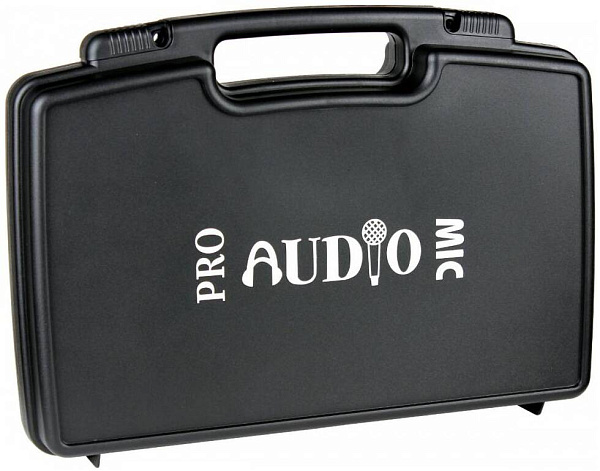 PROAUDIO DWS-204PT* - Радиосистема
